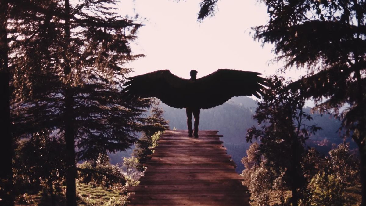 Jugnuma: The Fable (2025) – Full Storyline, Ending Explained, and Philosophical Meaning