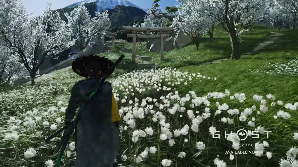 In-game screenshot of Atsu walking through a field of white flowers toward a wooden Torii gate in Ghost of Yōtei.
