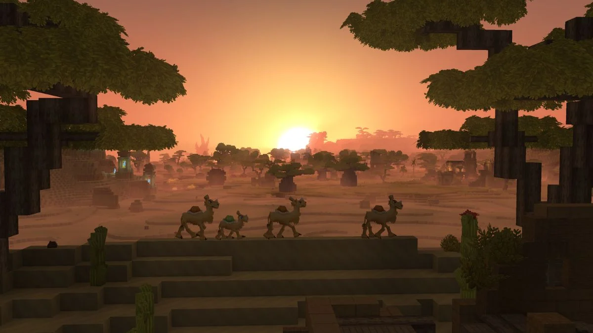 A group of three camels walking across a desert landscape at sunset in the block-based world of Hytale.