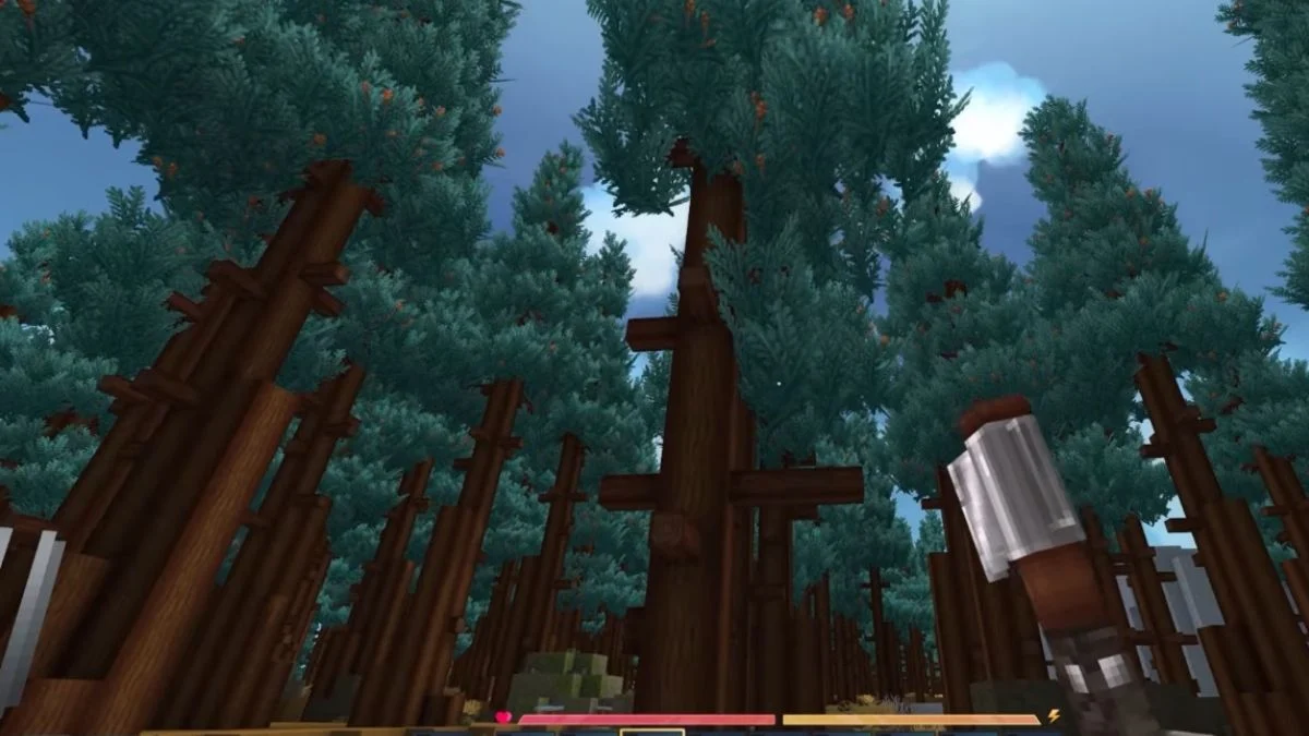 Tall Cedar trees in Hytale featuring thick trunks and blue-tinted foliage in a tundra forest.