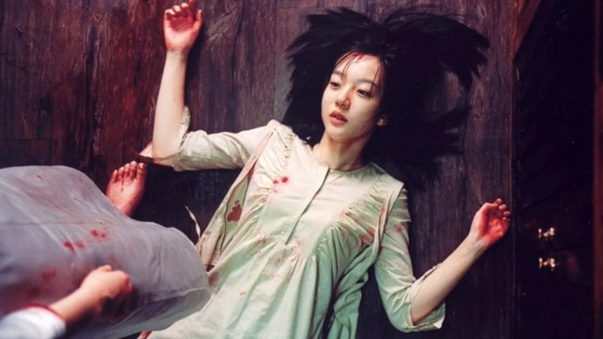 A Tale of Two Sisters (2003) Explained: Full Story, Timeline, Ending Meaning, and Hidden Psychological Horror