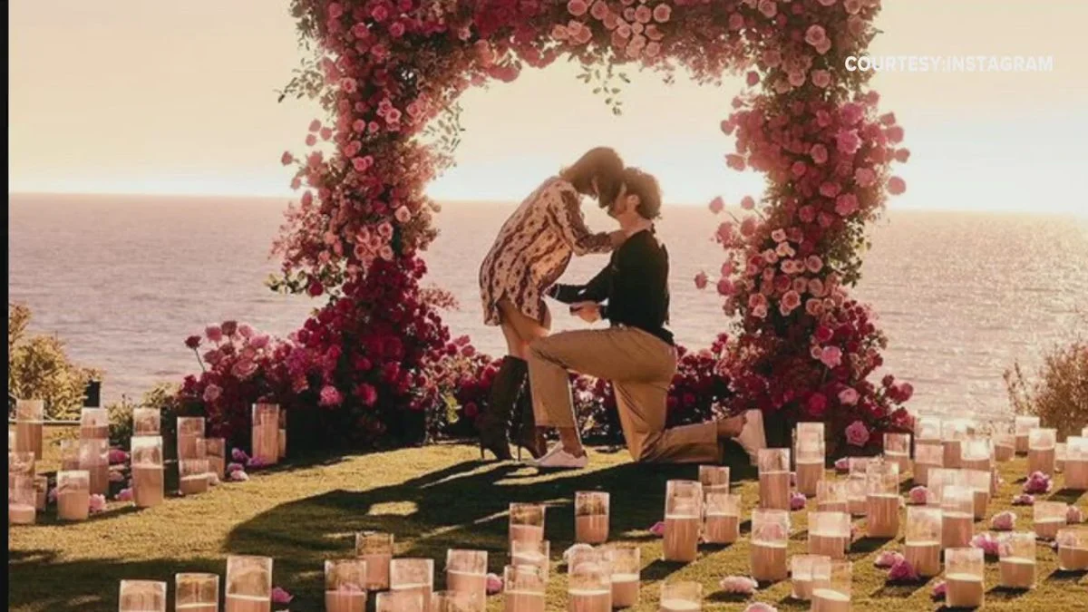 A silhouette of Josh Allen proposing to Hailee Steinfeld under a floral arch by the ocean.