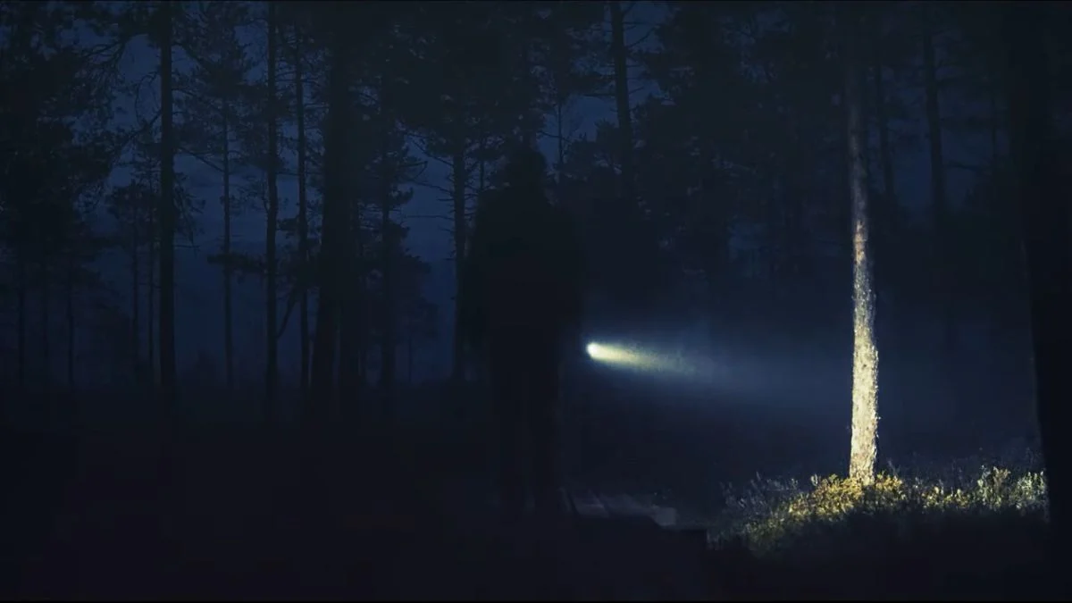 A mysterious silhouette of a person holding a flashlight in a dark, foggy forest at night in Moonvale.