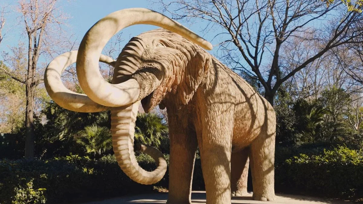 A large woolly mammoth statue with curved tusks standing amidst trees in an outdoor park setting.