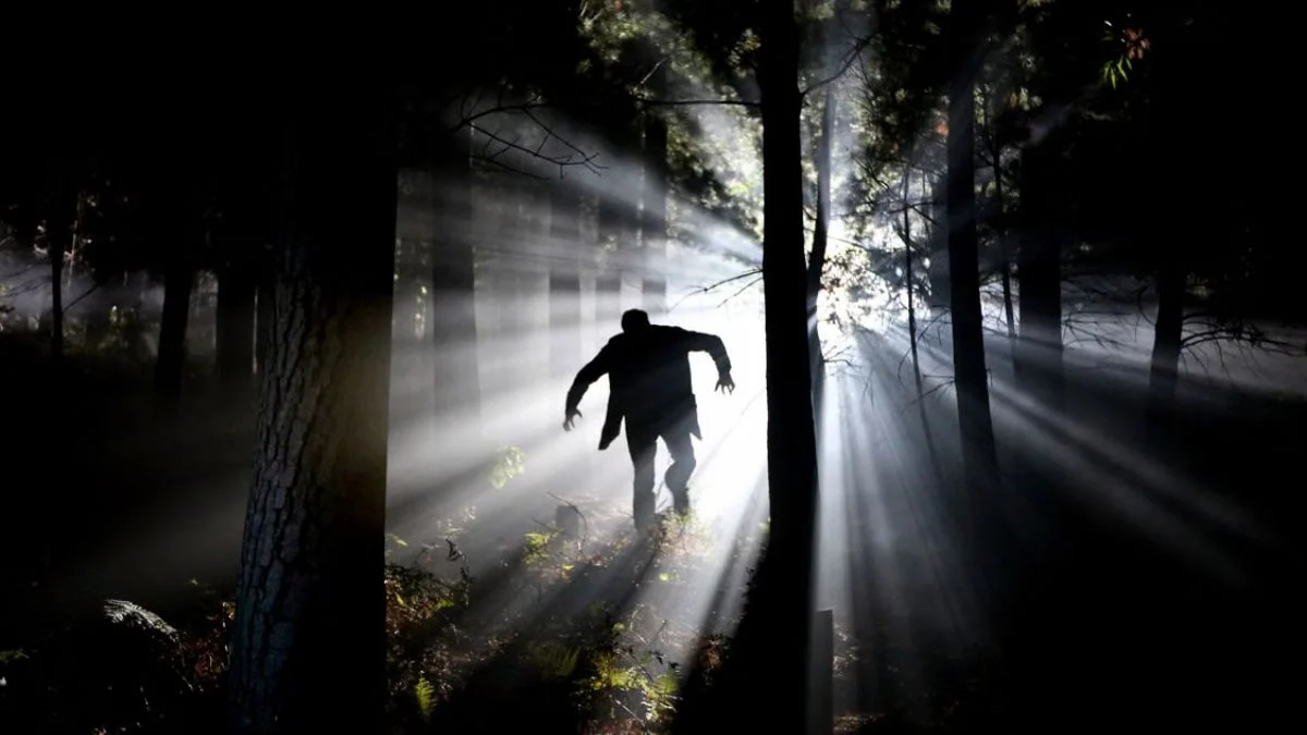 Silhouette of a mysterious human-like creature walking through a dark, foggy forest illuminated by sunbeams.