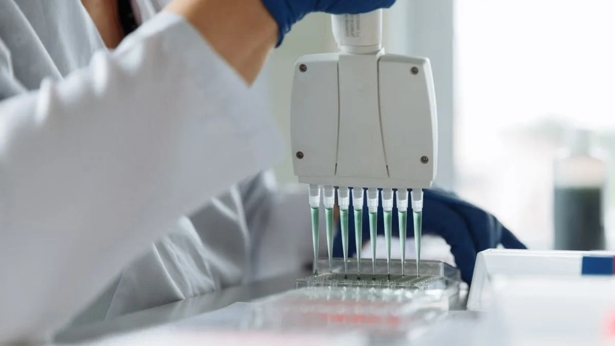 Laboratory technician using a multichannel pipette to process samples in a laboratory