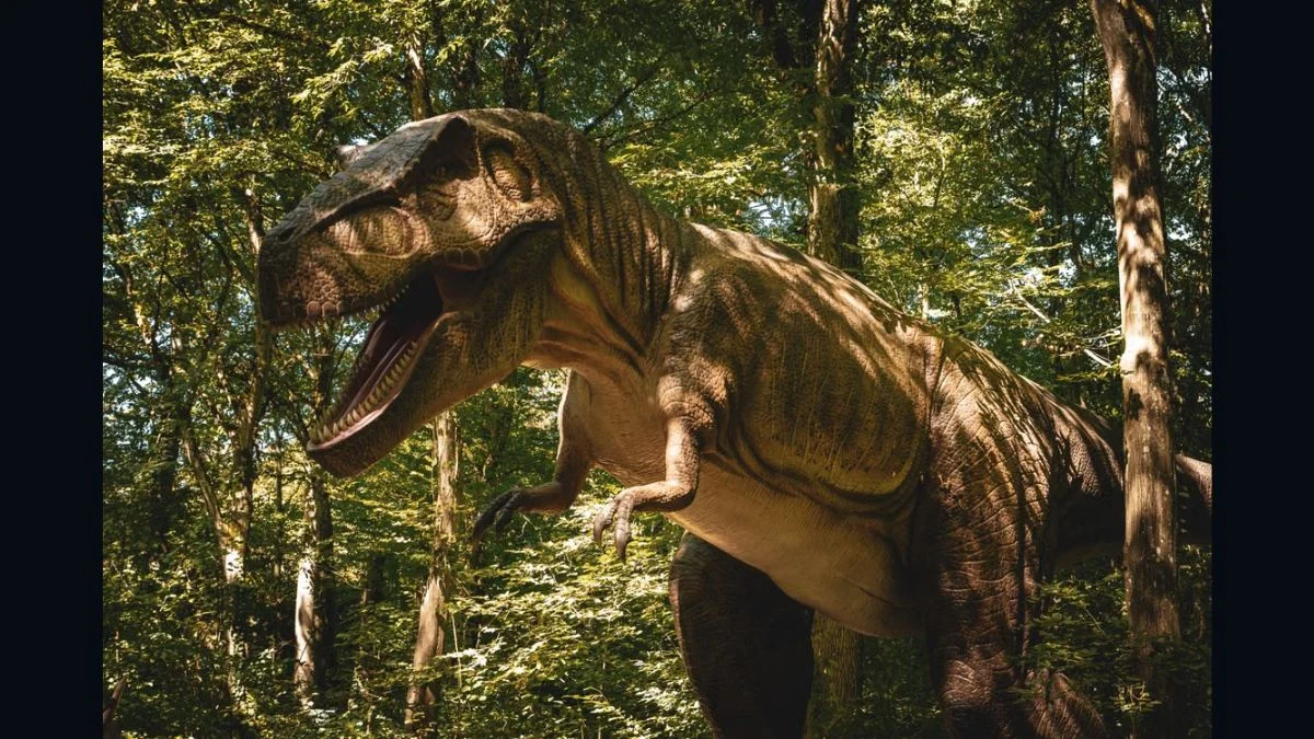 Life restoration model of a tyrannosaurid dinosaur standing among lush green trees in a Cretaceous forest environment.